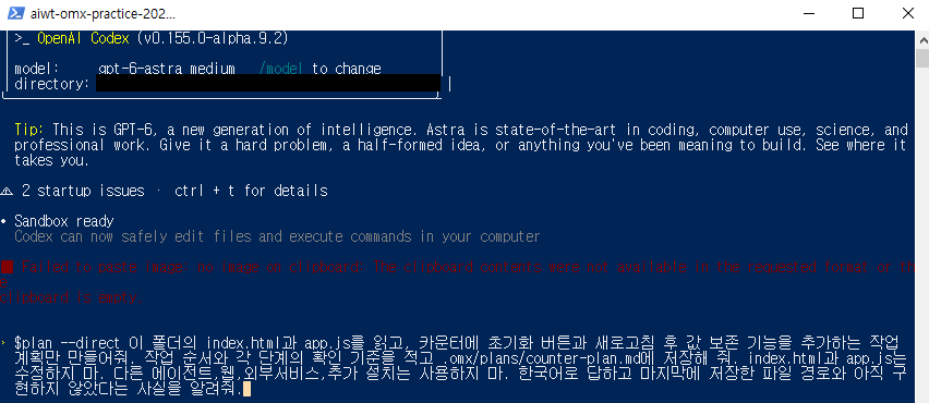 붙여넣기 오류와 계획 요청문이 보이는 실제 Codex 입력 화면