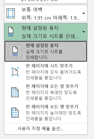 Excel 배율 메뉴의 한 페이지에 시트 맞추기, 모든 열 맞추기, 모든 행 맞추기 선택지